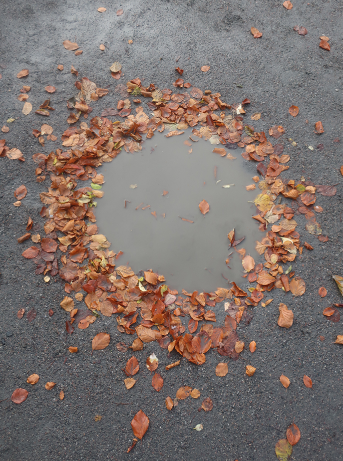 herfstmalmo.jpg