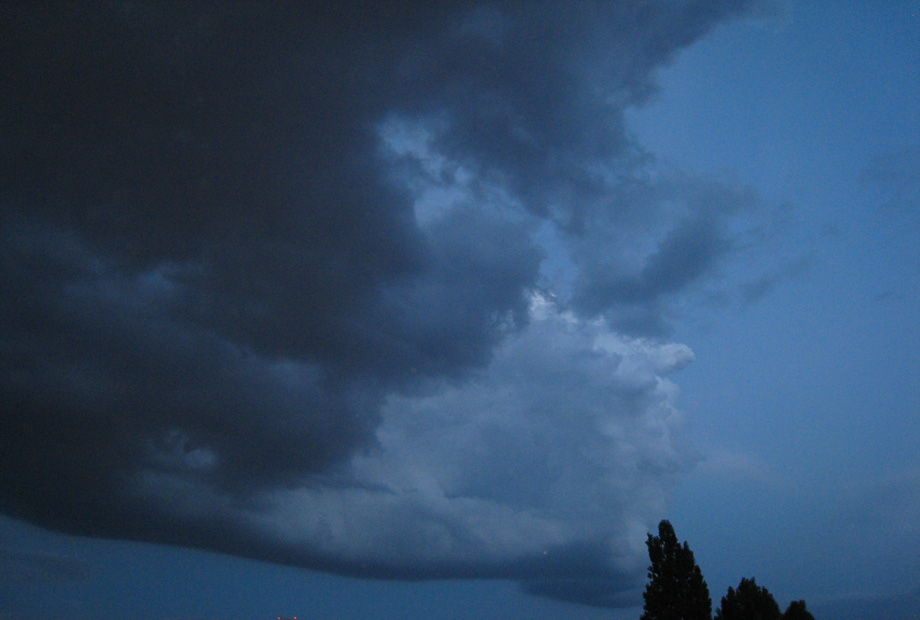 wolk1.jpg