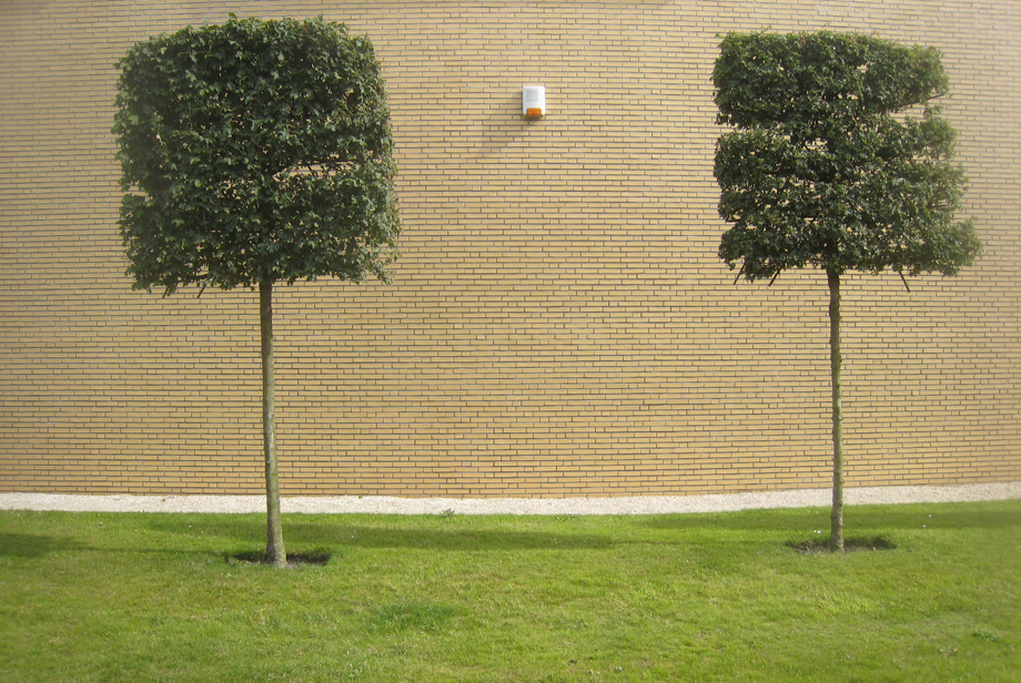 nootdorpaugust2015.jpg